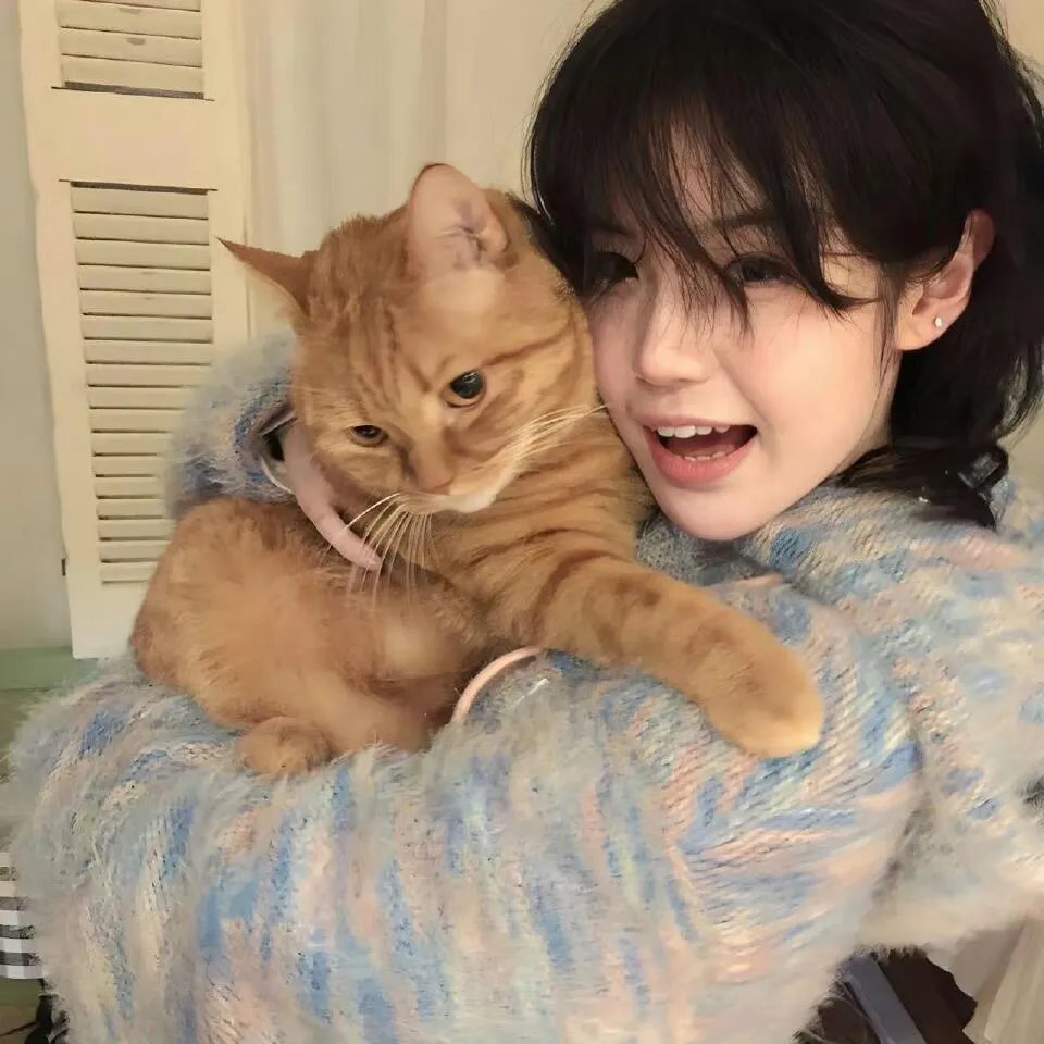 国土安全第六季